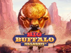 game logo by Skywind Group on don-bet.eu.com