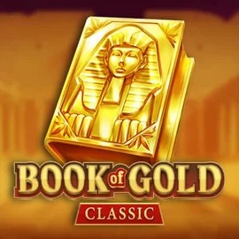game logo by Playson on don-bet.eu.com