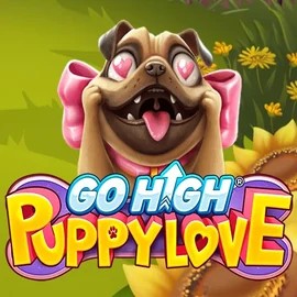 game logo by RubyPlay on don-bet.eu.com
